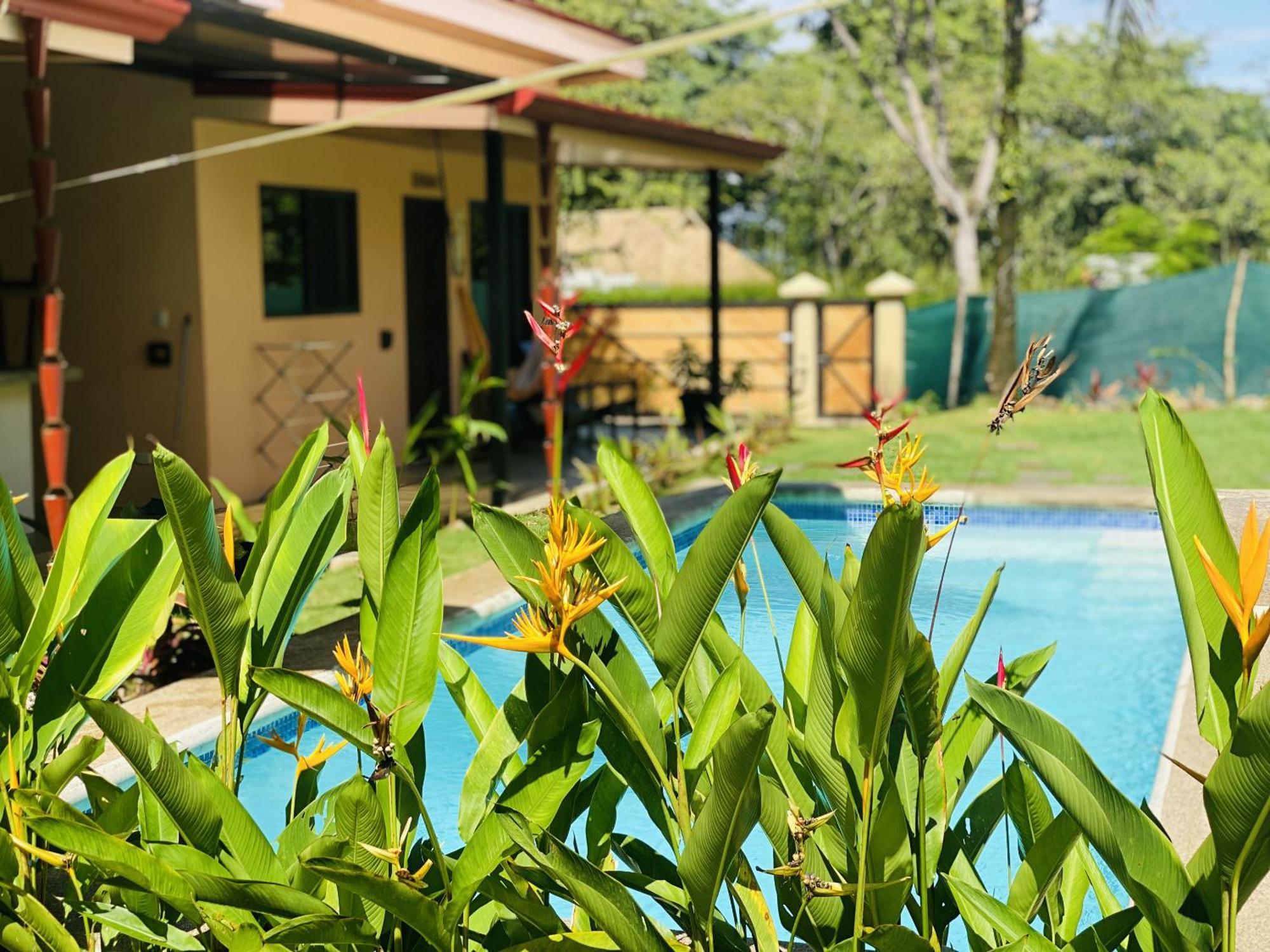 Brahman Bungalows On Pavones Point Room photo